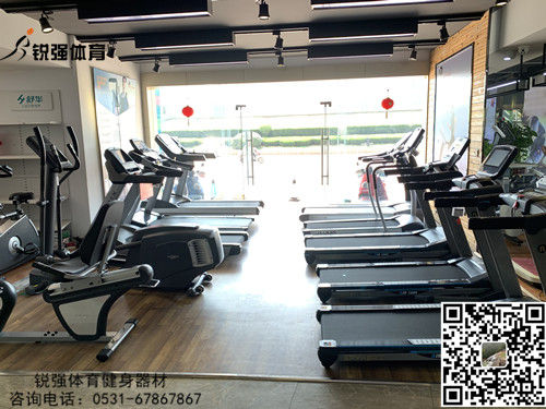 公海彩船旗舰店的跑步机和椭圆机