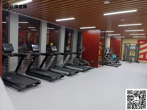 公海彩船完成的济南某部门单位健身房