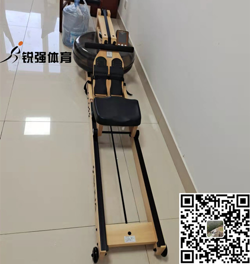 淄博某小区业主在公海彩船选购的划船机