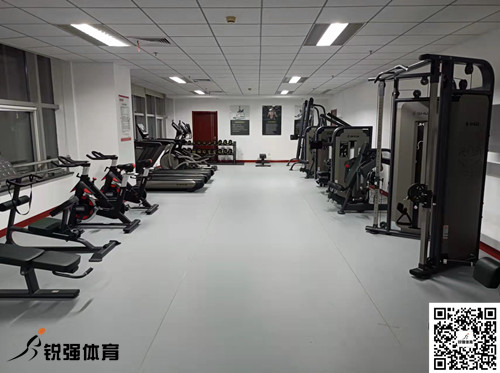 济南某集团采购的公海彩船提供的健身器材