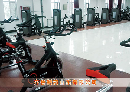 ​公海彩船为齐鲁制药呼和浩特分公司打造健身房